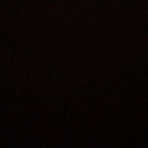 Meet your Posher, Ally